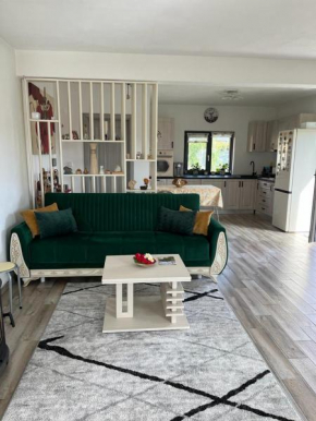 Mimi house